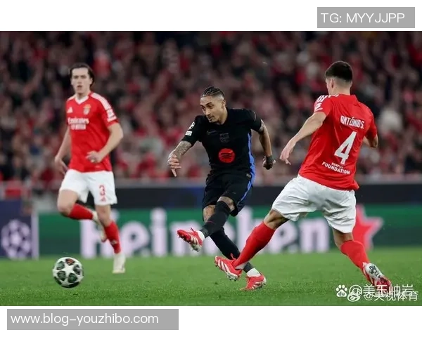 本菲卡与里昂近期交锋比分分析及战绩回顾